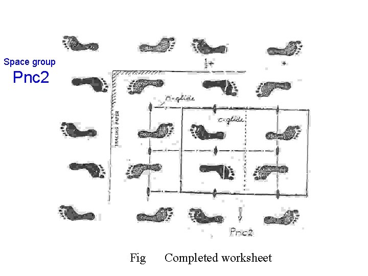 Space group Pnc 2 Fig Completed worksheet 