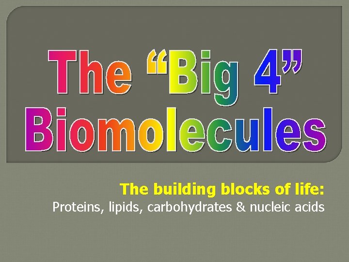 The building blocks of life: Proteins, lipids, carbohydrates & nucleic acids 