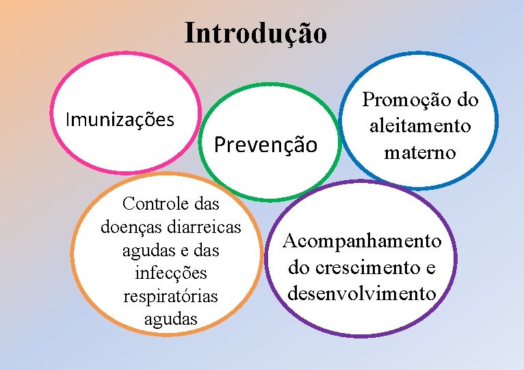Introdução Imunizações Prevenção Controle das doenças diarreicas agudas e das infecções respiratórias agudas Promoção