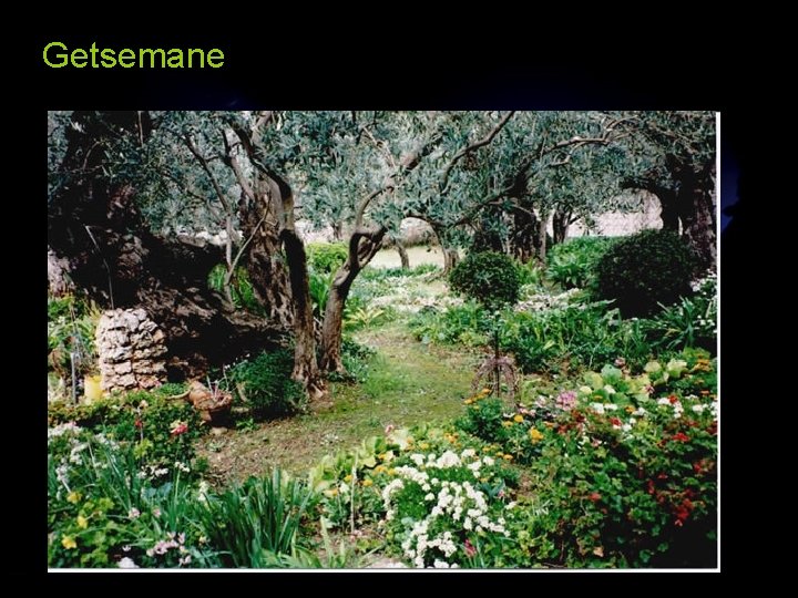 Getsemane 