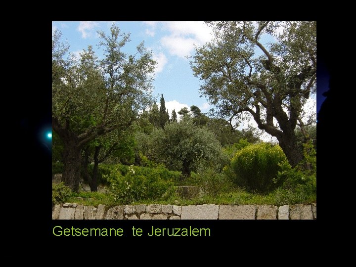 Getsemane te Jeruzalem 