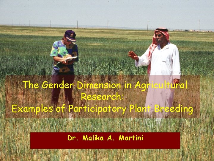 The Gender Dimension in Agricultural Research: Examples of Participatory Plant Breeding Dr. Malika A. The Gender Dimension in Agricultural Research: Examples of Participatory Plant Breeding Dr. Malika A.