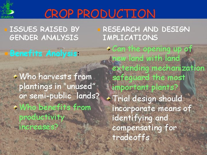 CROP PRODUCTION ISSUES RAISED BY GENDER ANALYSIS Benefits Analysis: Who harvests from plantings in CROP PRODUCTION ISSUES RAISED BY GENDER ANALYSIS Benefits Analysis: Who harvests from plantings in