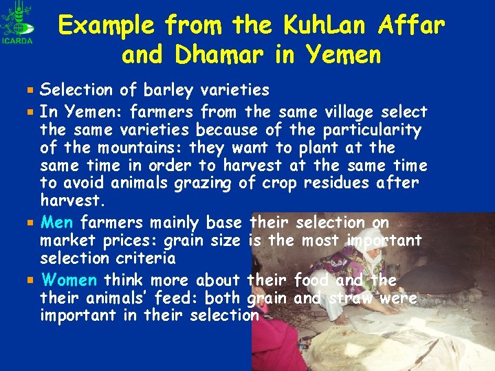 Example from the Kuh. Lan Affar and Dhamar in Yemen Selection of barley varieties Example from the Kuh. Lan Affar and Dhamar in Yemen Selection of barley varieties