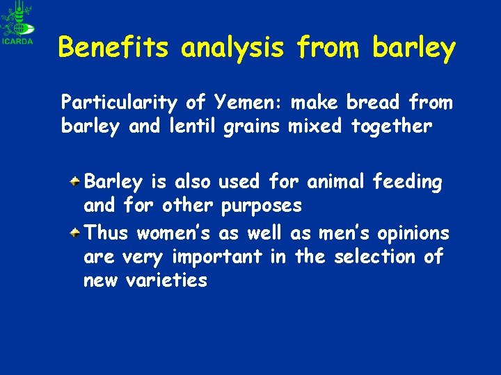 Benefits analysis from barley Particularity of Yemen: make bread from barley and lentil grains Benefits analysis from barley Particularity of Yemen: make bread from barley and lentil grains