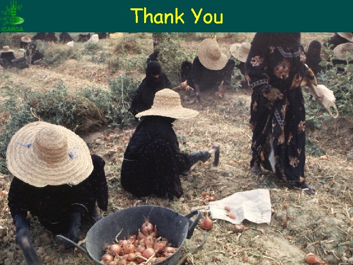 Thank You Thank You
