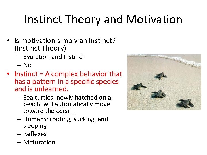 Instinct Theory and Motivation • Is motivation simply an instinct? (Instinct Theory) – Evolution Instinct Theory and Motivation • Is motivation simply an instinct? (Instinct Theory) – Evolution