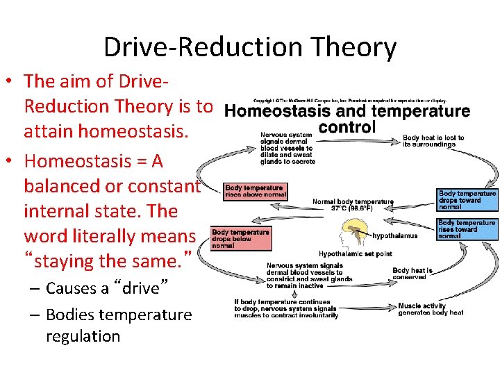 Drive-Reduction Theory • The aim of Drive. Reduction Theory is to attain homeostasis. • Drive-Reduction Theory • The aim of Drive. Reduction Theory is to attain homeostasis. •