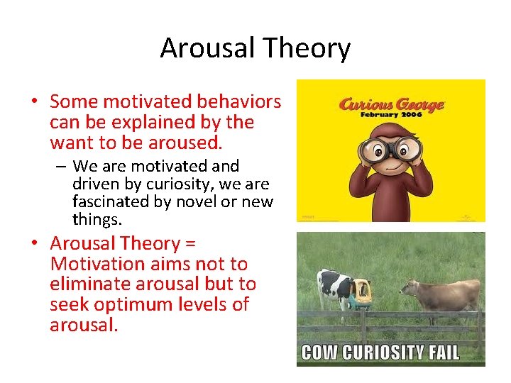 Arousal Theory • Some motivated behaviors can be explained by the want to be Arousal Theory • Some motivated behaviors can be explained by the want to be