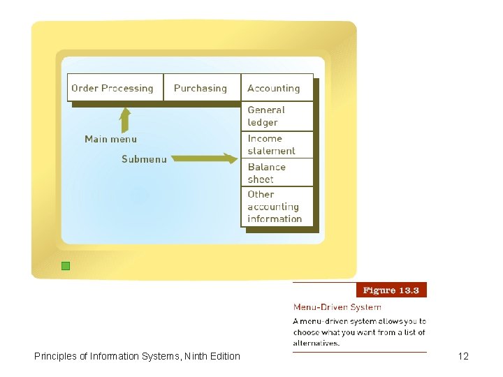 Principles of Information Systems, Ninth Edition 12 