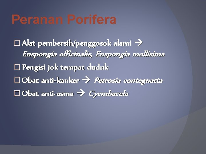 Peranan Porifera � Alat pembersih/penggosok alami Euspongia officinalis, Euspongia mollisima � Pengisi jok tempat