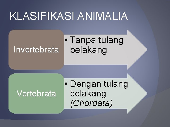 KLASIFIKASI ANIMALIA • Tanpa tulang Invertebrata belakang • Dengan tulang Vertebrata belakang (Chordata) 