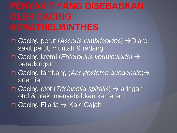 PENYAKIT YANG DISEBABKAN OLEH CACING NEMATHELMINTHES � � � Cacing perut (Ascaris lumbricoides) Diare,