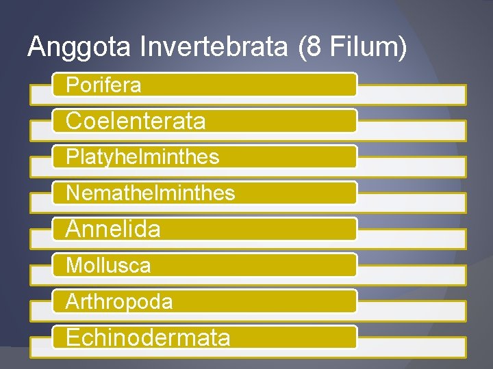 Anggota Invertebrata (8 Filum) Porifera Coelenterata Platyhelminthes Nemathelminthes Annelida Mollusca Arthropoda Echinodermata 