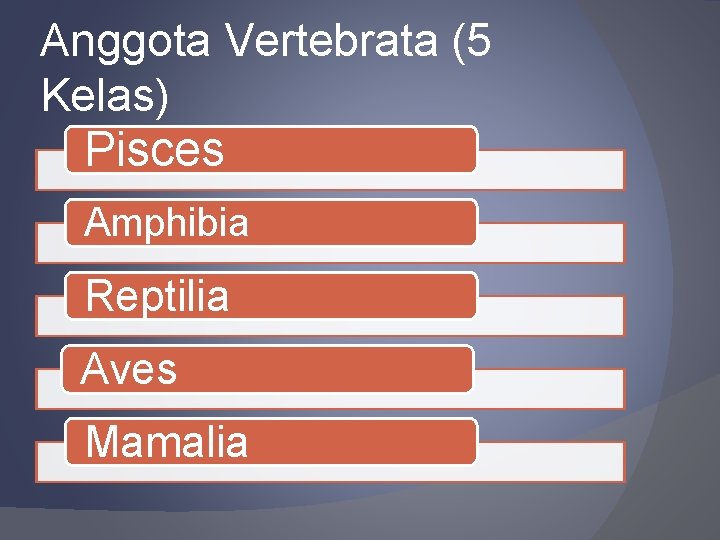 Anggota Vertebrata (5 Kelas) Pisces Amphibia Reptilia Aves Mamalia 