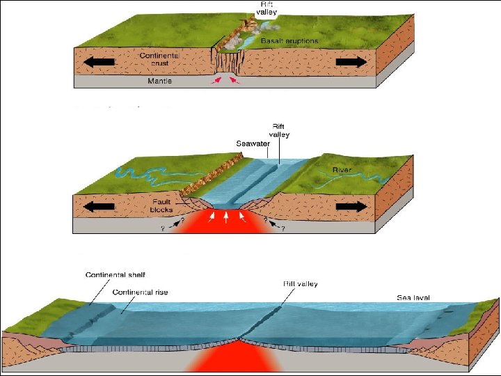 Divergent Boundaries Two plates move away from each other Ø Commonly found on ocean