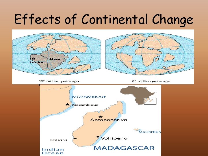 Effects of Continental Changes in Life As continents rift mountains form, organisms are separated