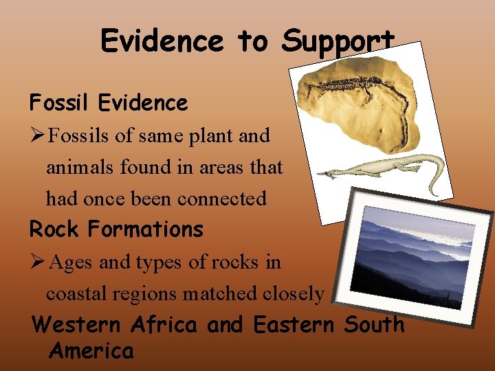 Evidence to Support Fossil Evidence Ø Fossils of same plant and animals found in