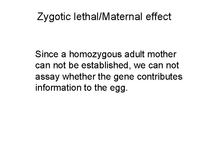 Zygotic lethal/Maternal effect Since a homozygous adult mother can not be established, we can