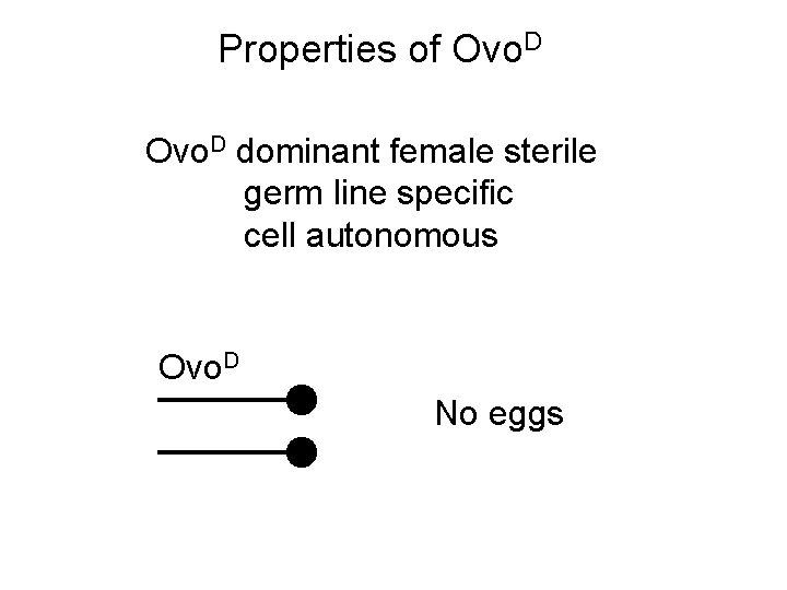 Properties of Ovo. D dominant female sterile germ line specific cell autonomous Ovo. D