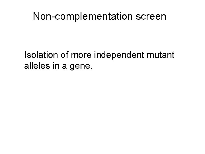 Non-complementation screen Isolation of more independent mutant alleles in a gene. 