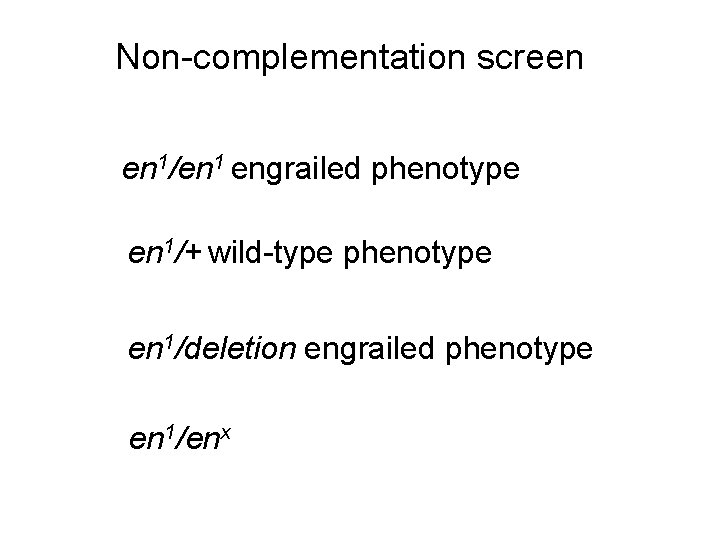 Non-complementation screen en 1/en 1 engrailed phenotype en 1/+ wild-type phenotype en 1/deletion engrailed