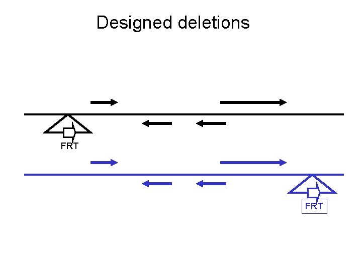 Designed deletions FRT 