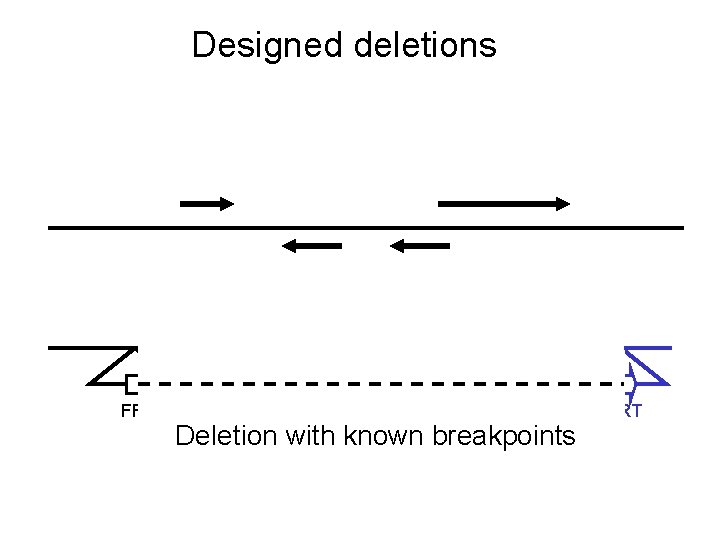 Designed deletions FRT Deletion with known breakpoints FRT 
