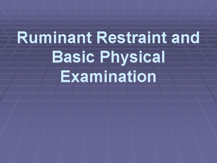 Ruminant Restraint and Basic Physical Examination Ruminant Restraint and Basic Physical Examination