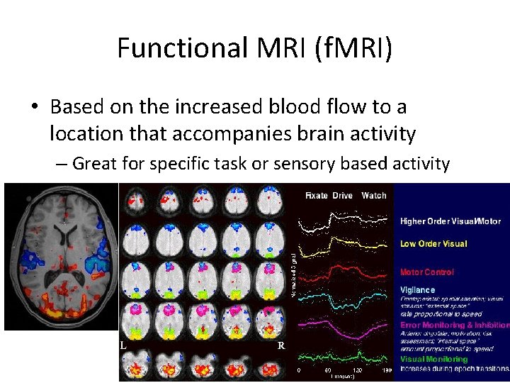 Functional MRI (f. MRI) • Based on the increased blood flow to a location
