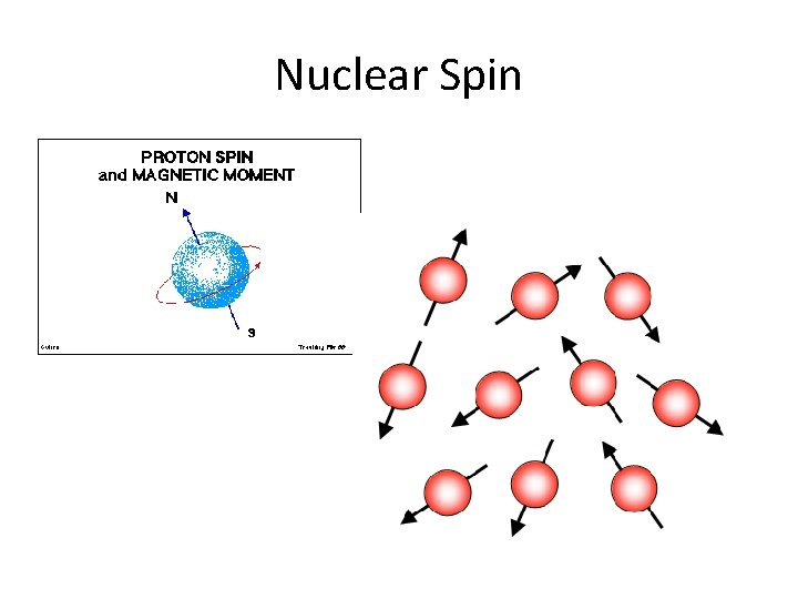 Nuclear Spin 