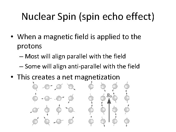 Nuclear Spin (spin echo effect) • When a magnetic field is applied to the