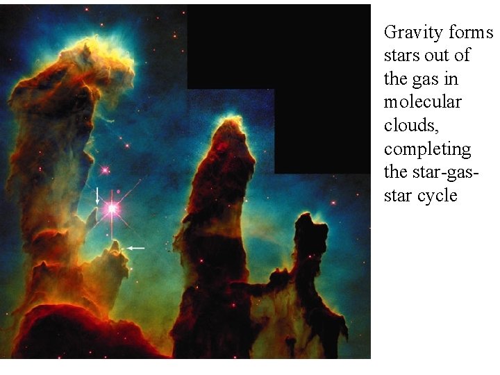 Gravity forms stars out of the gas in molecular clouds, completing the star-gasstar cycle