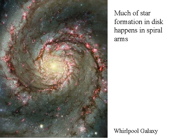 Much of star formation in disk happens in spiral arms Whirlpool Galaxy 