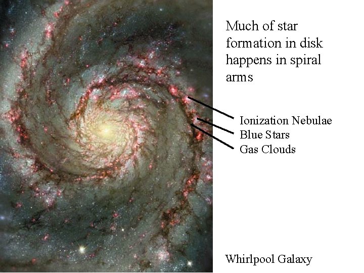 Much of star formation in disk happens in spiral arms Ionization Nebulae Blue Stars