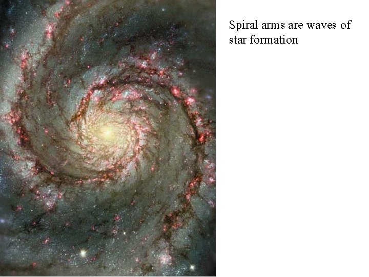 Spiral arms are waves of star formation 