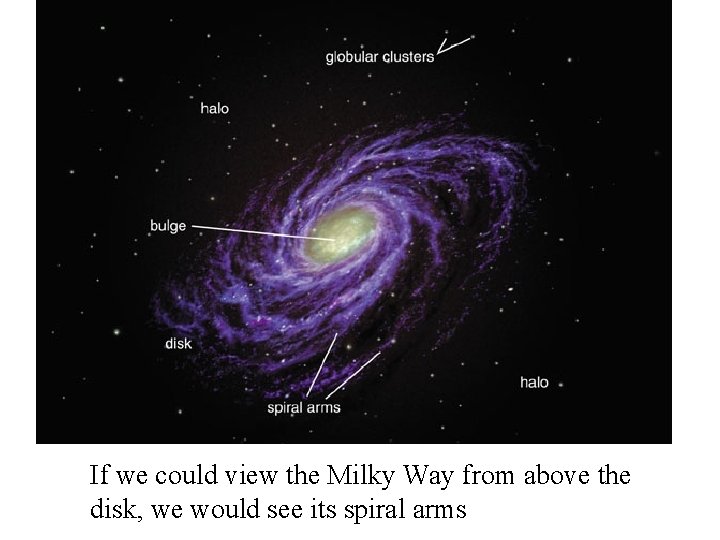 If we could view the Milky Way from above the disk, we would see