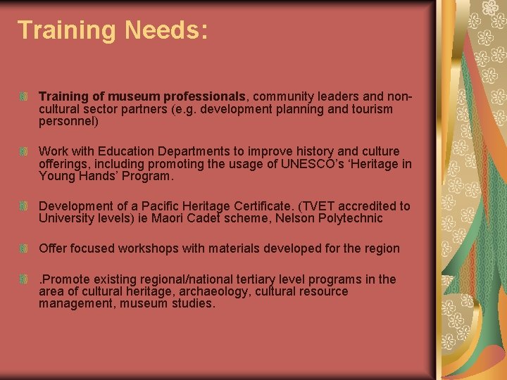 Training Needs: Training of museum professionals, community leaders and noncultural sector partners (e. g.