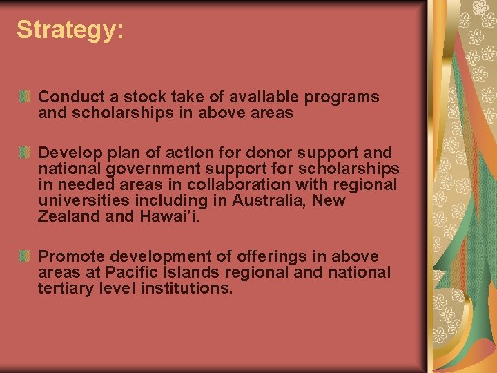 Strategy: Conduct a stock take of available programs and scholarships in above areas Develop