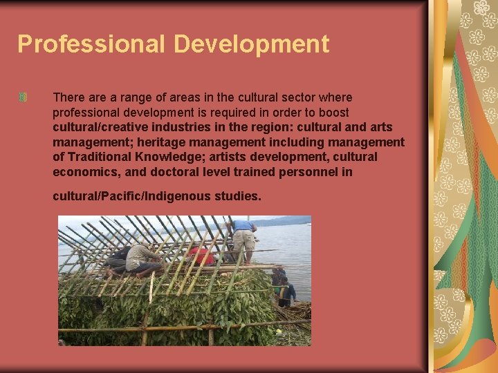 Professional Development There a range of areas in the cultural sector where professional development