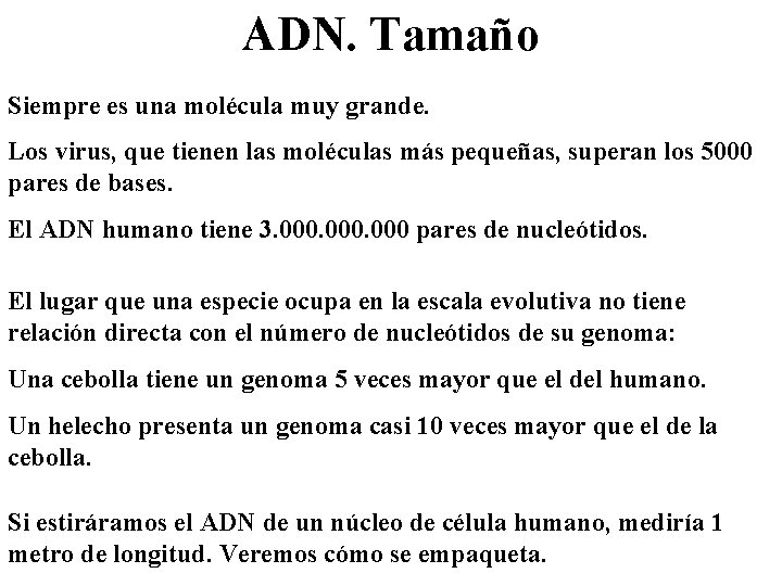 ADN. Tamaño Siempre es una molécula muy grande. Los virus, que tienen las moléculas