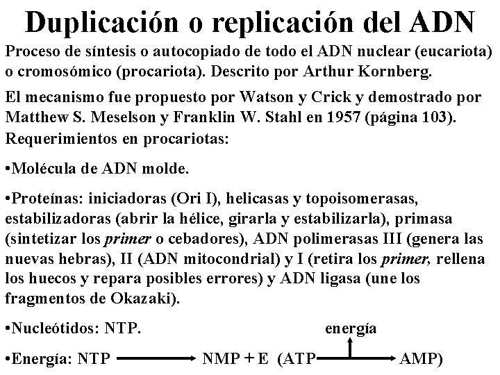 Duplicación o replicación del ADN Proceso de síntesis o autocopiado de todo el ADN