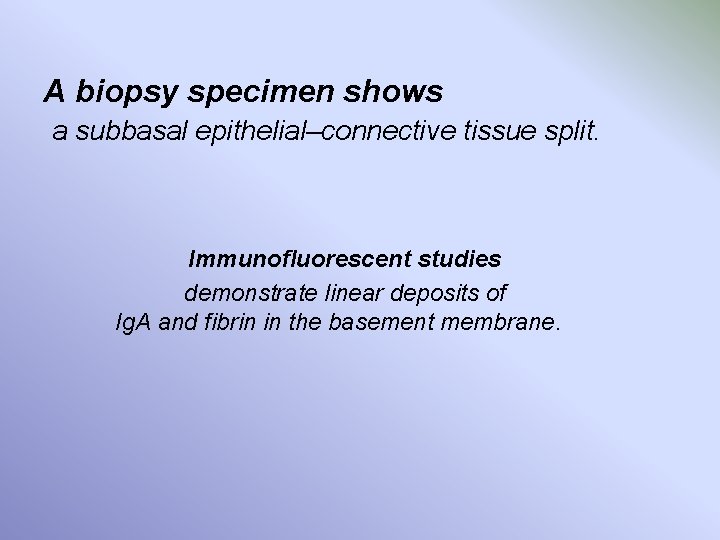 A biopsy specimen shows a subbasal epithelial–connective tissue split. Immunofluorescent studies demonstrate linear deposits
