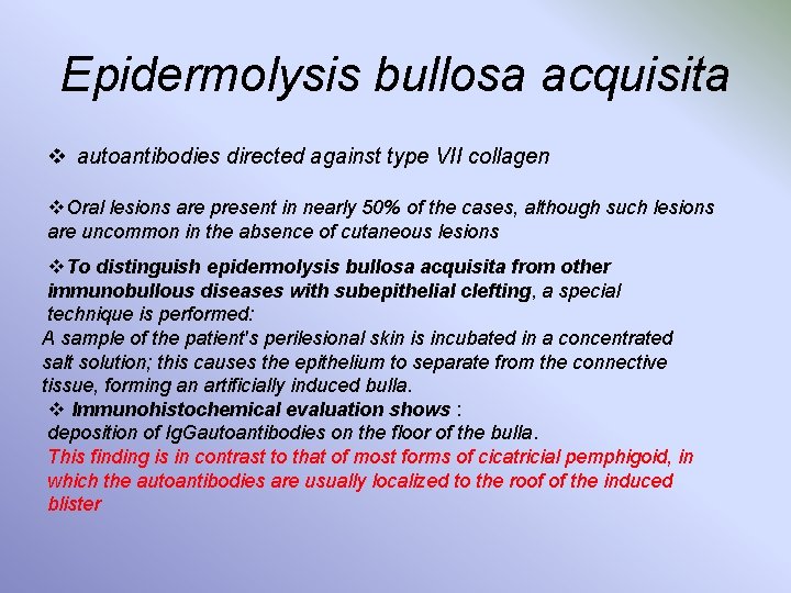 Epidermolysis bullosa acquisita v autoantibodies directed against type VII collagen v. Oral lesions are