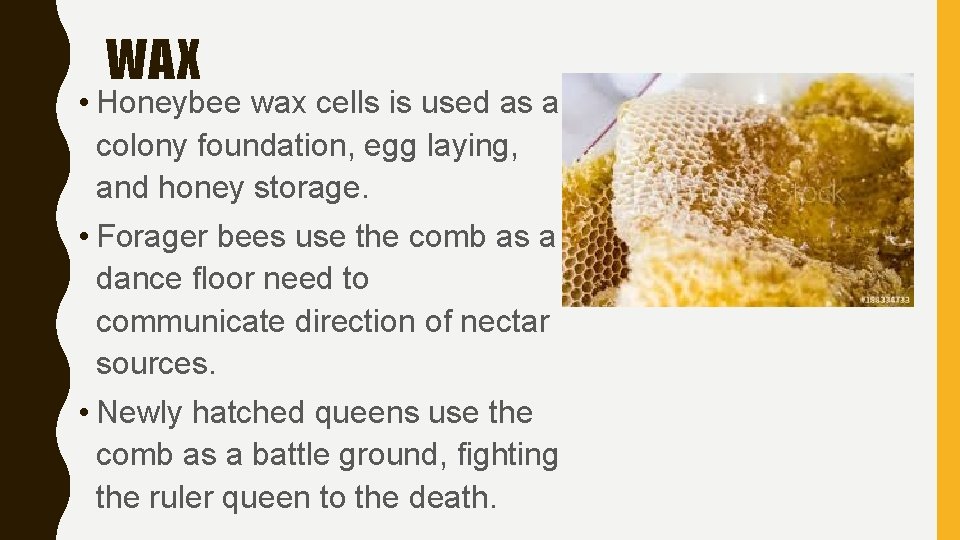WAX • Honeybee wax cells is used as a colony foundation, egg laying, and