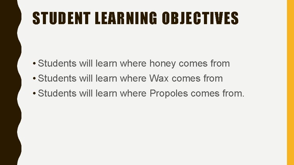 STUDENT LEARNING OBJECTIVES • Students will learn where honey comes from • Students will