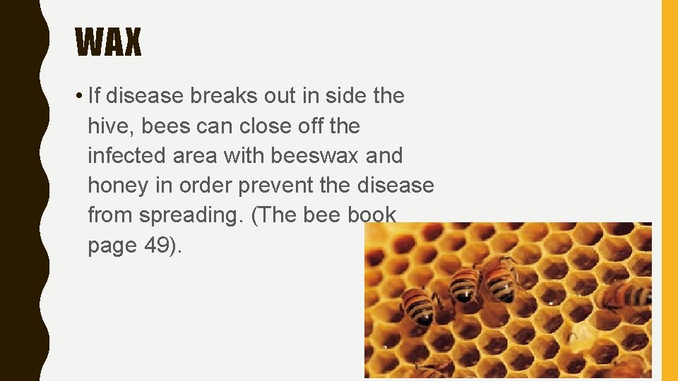 WAX • If disease breaks out in side the hive, bees can close off
