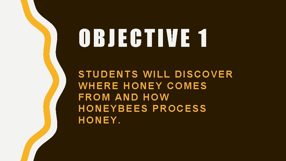 OBJECTIVE 1 STUDENTS WILL DISCOVER WHERE HONEY COMES FROM AND HOW HONEYBEES PROCESS HONEY.