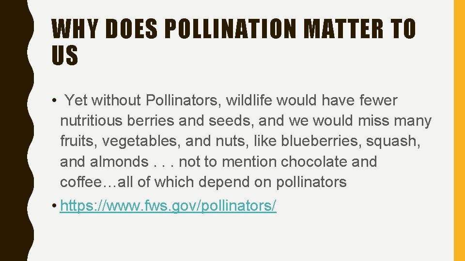 WHY DOES POLLINATION MATTER TO US • Yet without Pollinators, wildlife would have fewer