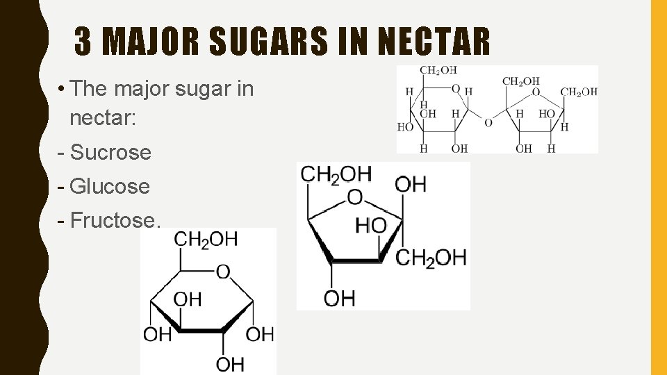3 MAJOR SUGARS IN NECTAR • The major sugar in nectar: - Sucrose -